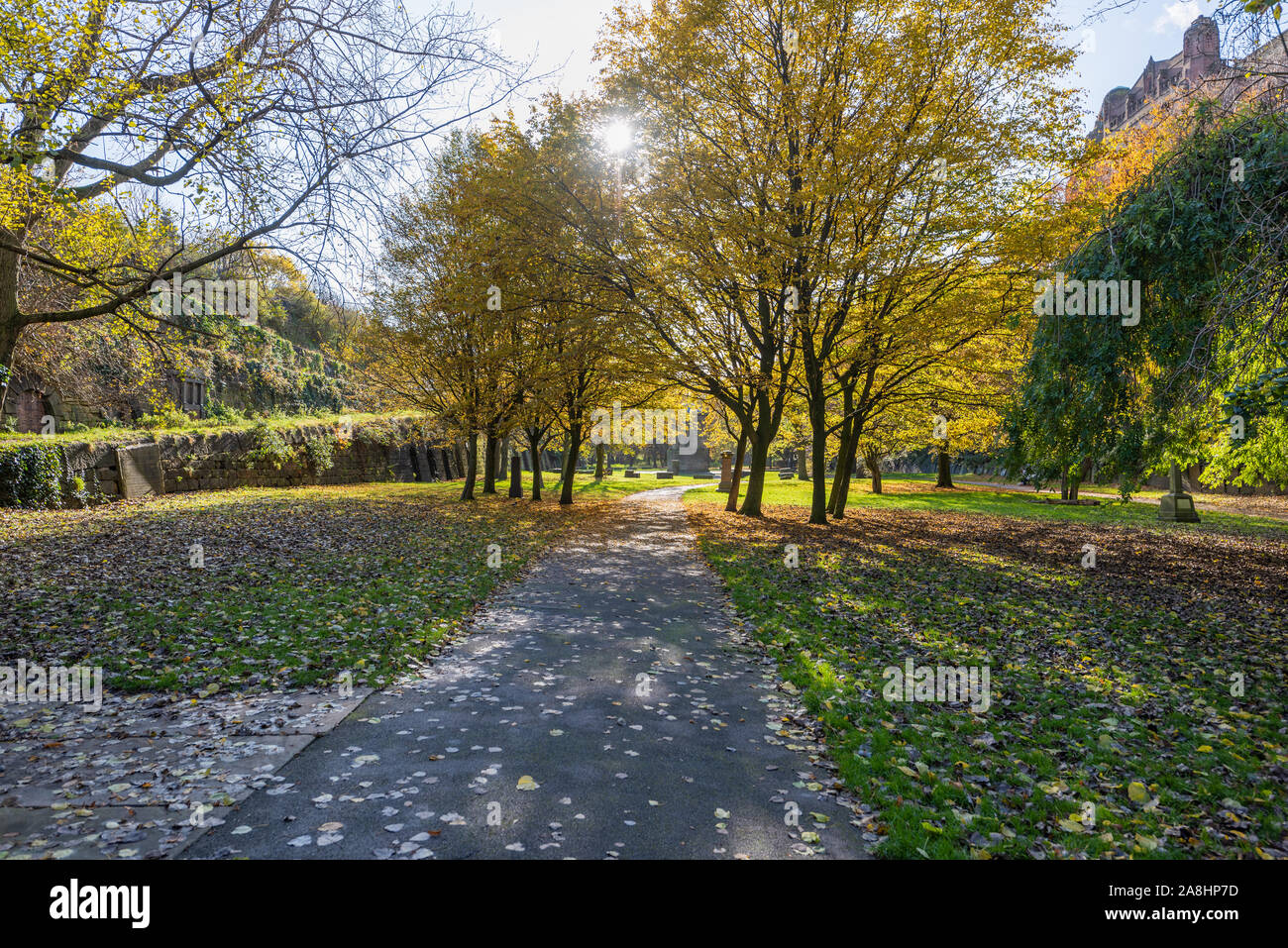 Autumn in Liverpool. Autumn colours in St James' Cemetery Liverpool, below the Anglican Cathedral Stock Photo