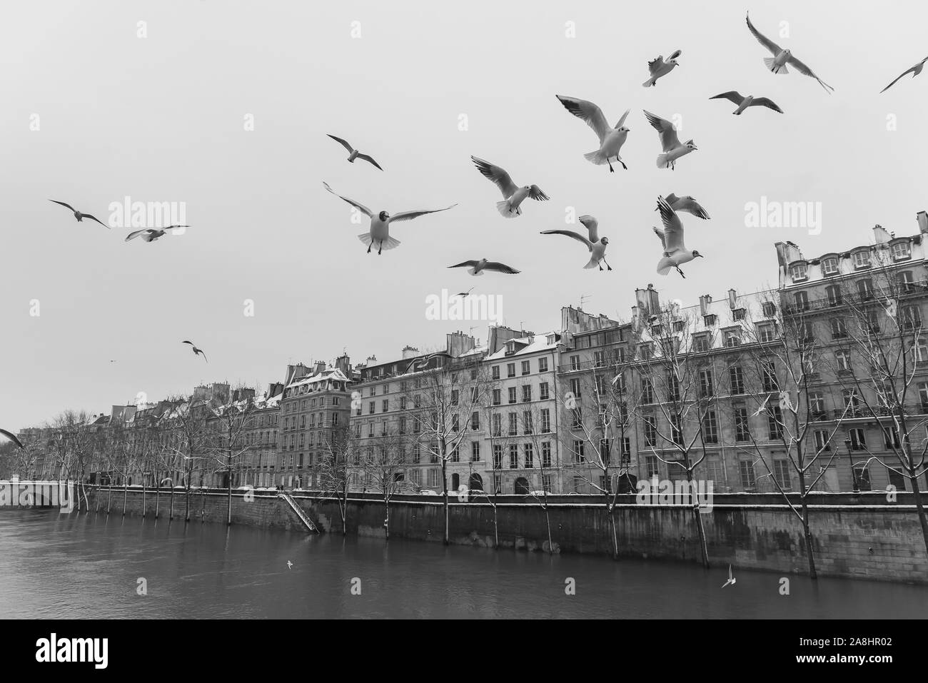 Paris under the snow and floods, flooded quays, trees under the water, the Seine in winter Stock Photo