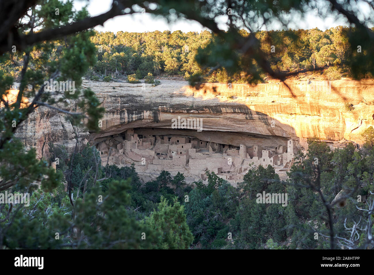 Cliff dwellings at Mesa Verde National Park, Colorado, USA Stock Photo