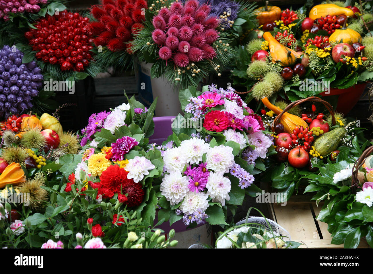 Zagreb flower market Stock Photo Alamy