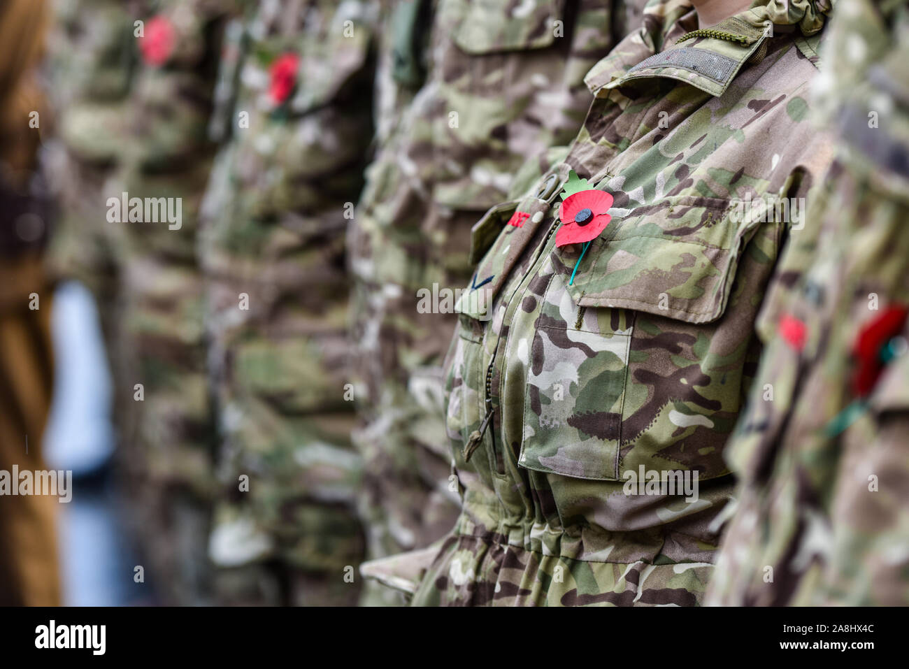 Army cadets stand in front of the war memorial wearing their poppies