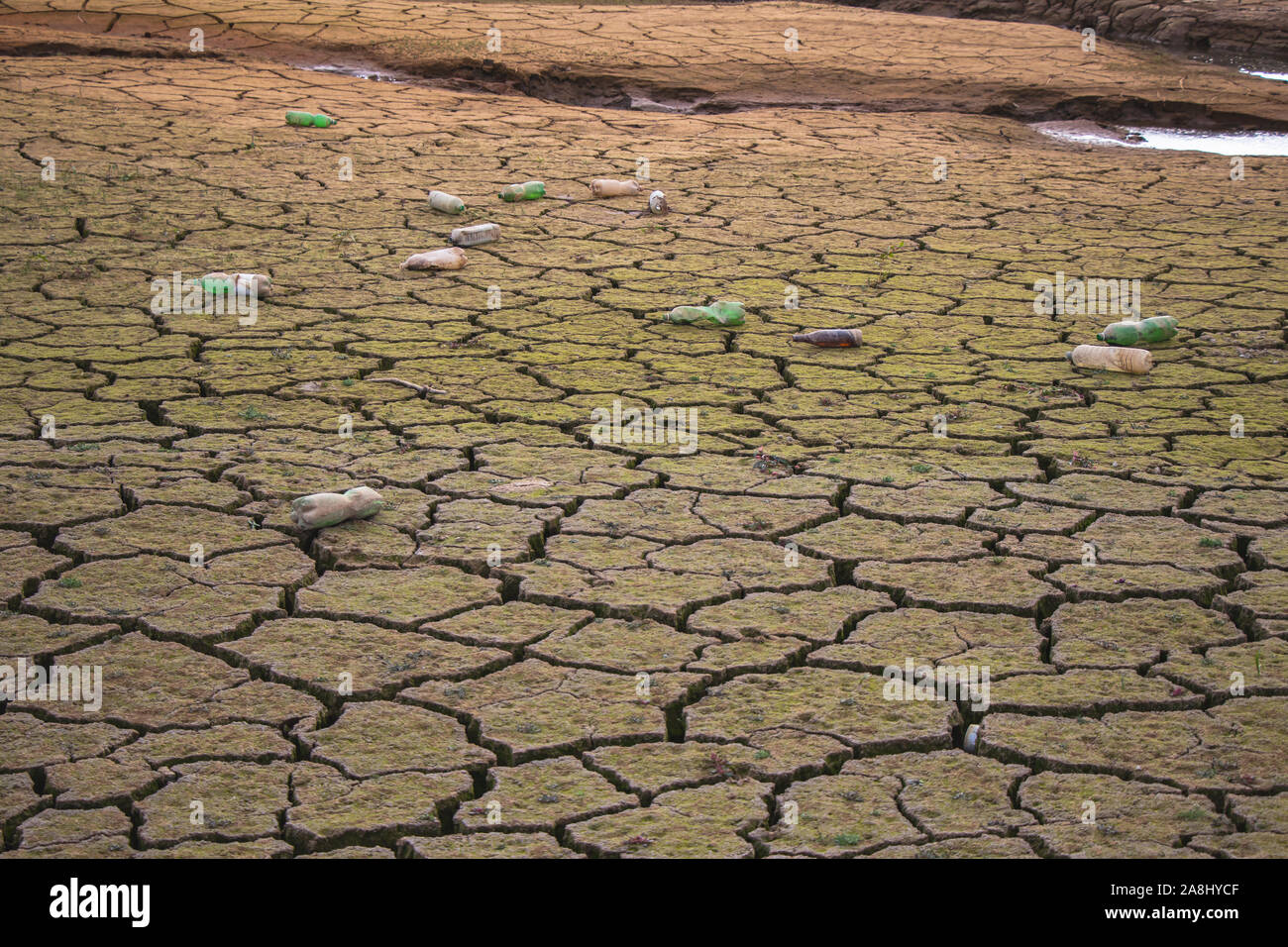 Plastic bottles thrown on the ground polluting the environment. Waste. Litter. Pollution. Stock Photo