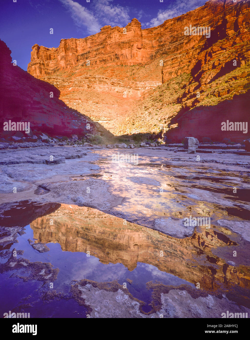 Reflections in Slickhorn Canyon, Slickhorn Canyon Wilderness Study Area, Near San Juan River, Utah,  Glen Canyon National Recreation Area Stock Photo
