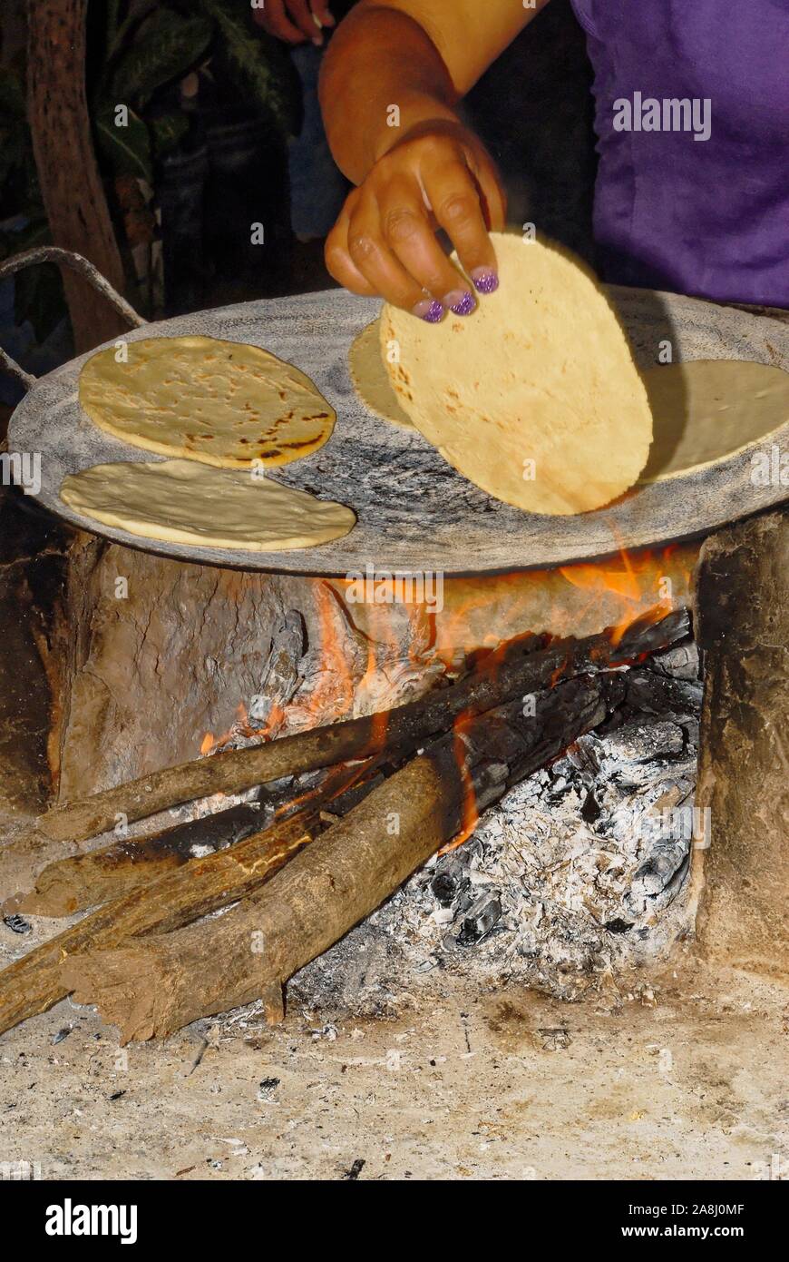 https://c8.alamy.com/comp/2A8J0MF/making-tortillas-over-a-wood-fire-in-el-fuerte-sierra-madre-occidental-sinaloa-state-mexico-2A8J0MF.jpg
