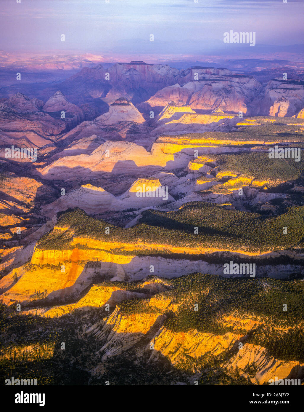 ZIon domes in morning light, ZIon National Park, Utah, Aerial view from the East Entrance, View toward Zion Canyon Stock Photo