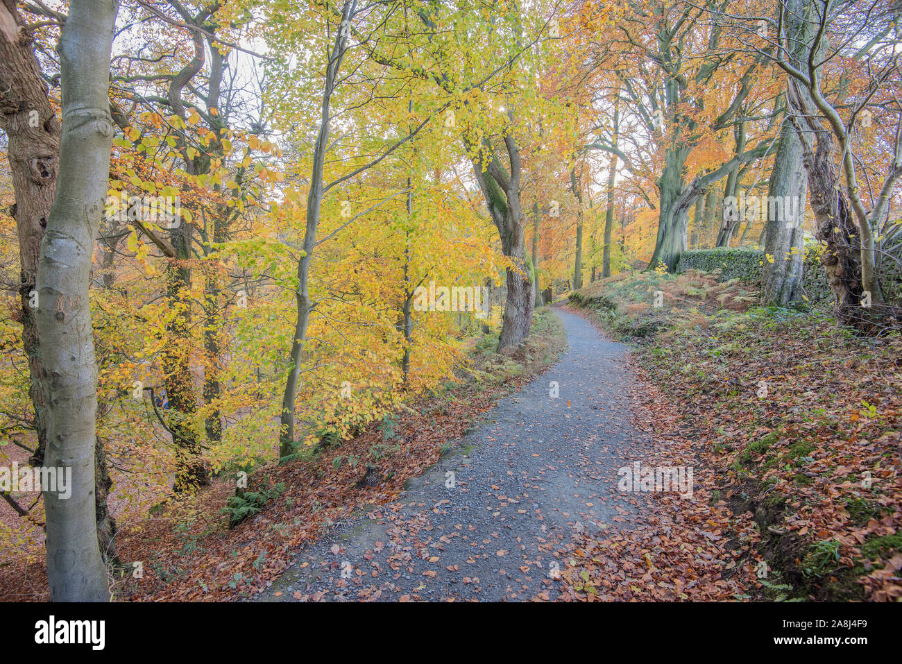 Bolton Abbey Stock Photo