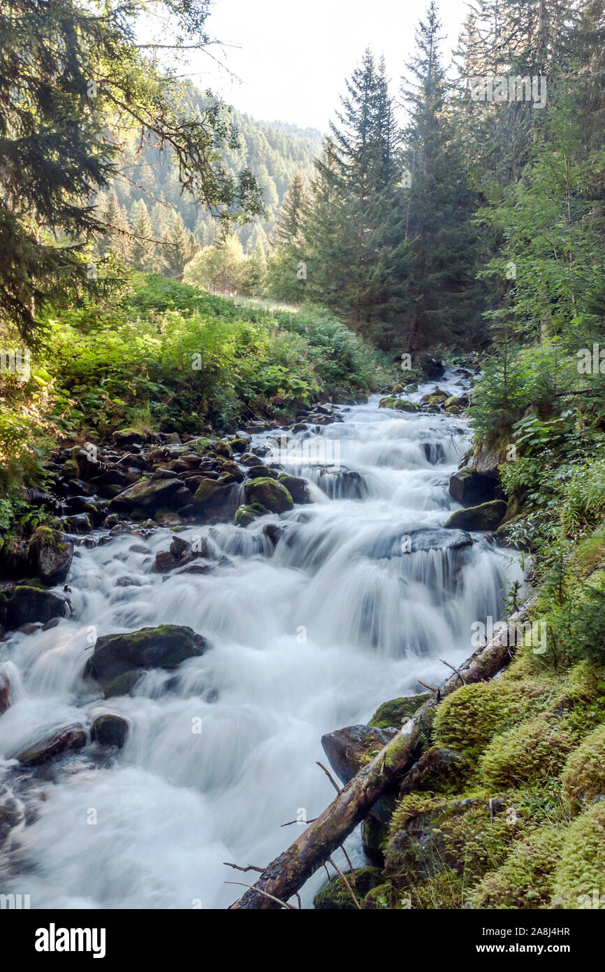 River in the mountains of the Swiss Alps in the Saint Luc valley on a ...