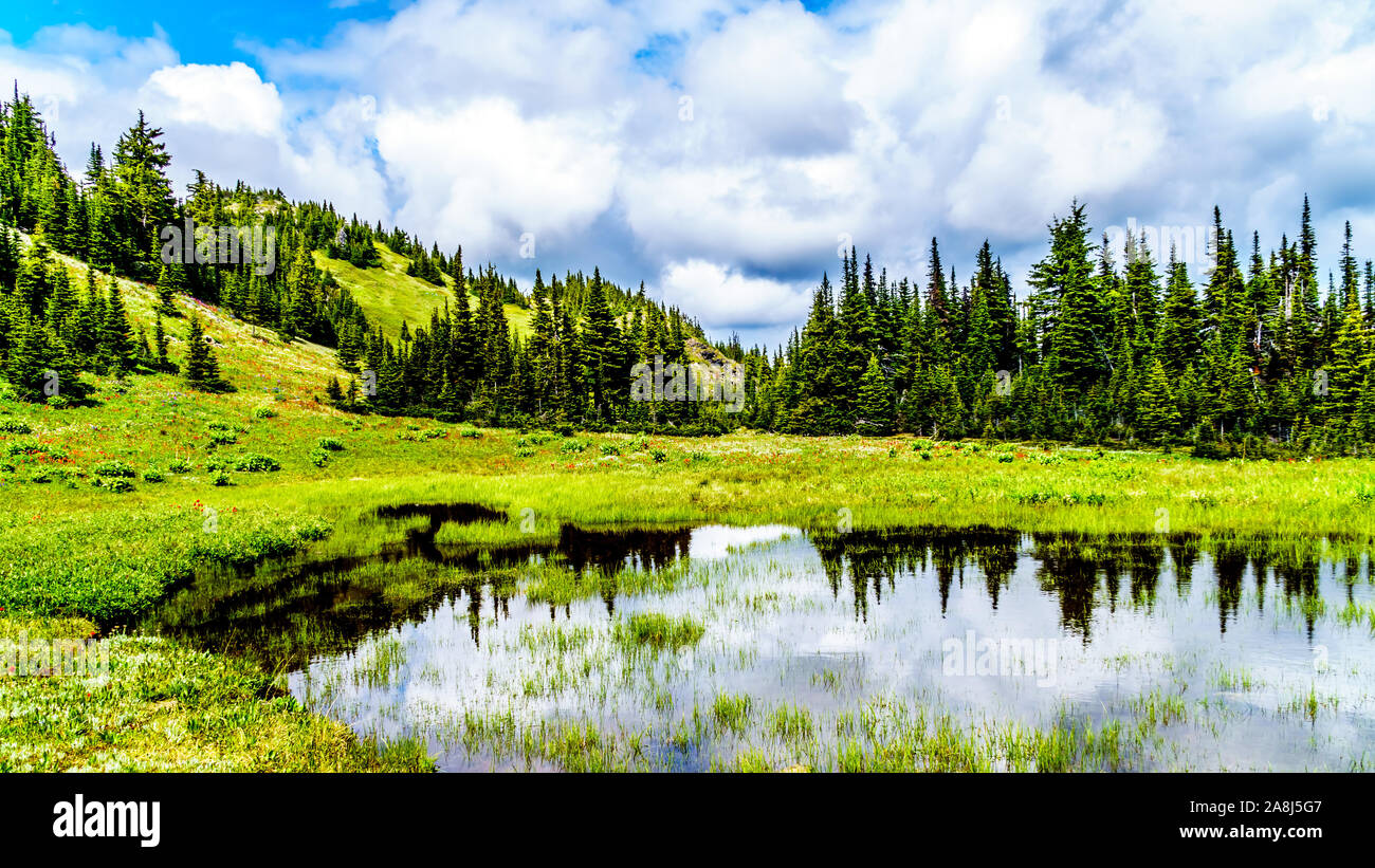 A view of Tod Lake with the many alpine wild flowers as seen from the hiking trail coming down Tod Mountain at Sun Peaks, British Columbia, Canada Stock Photo