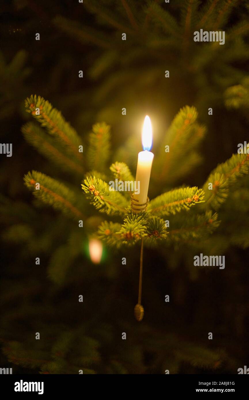 Flickering real candle, glowing brightly and warmly, placed in live