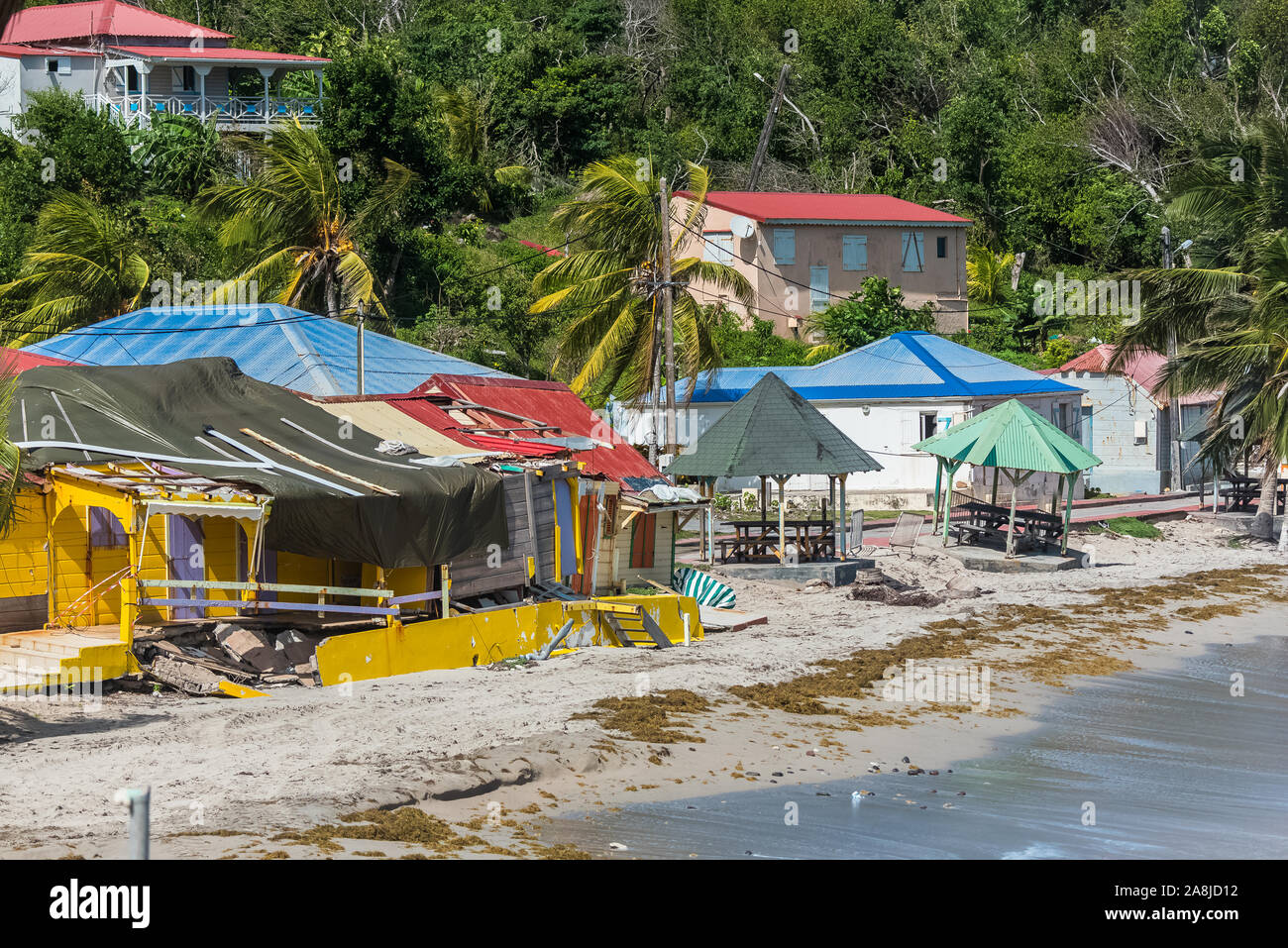 Guadeloupe, the Saintes islands, the beach after the cyclone, devastation Stock Photo