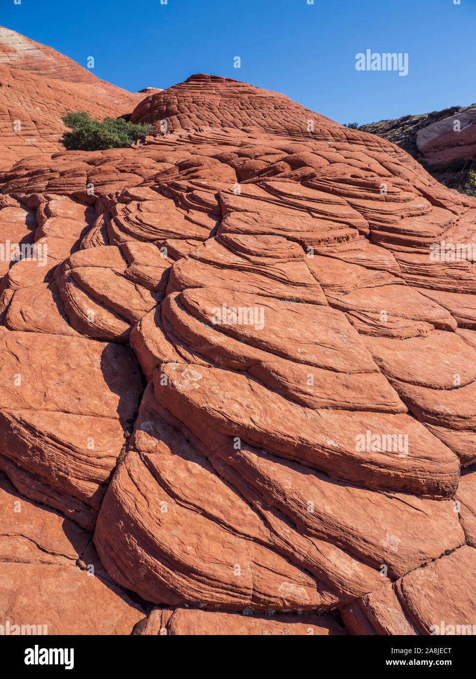 Cross-bedded sandstone, Lava Flow Trail, Snow Canyon State Park, Saint George, Utah. Stock Photo