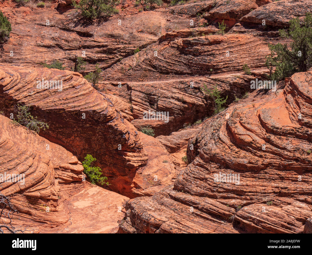 Cross-bedded sandstone, Padre Canyon Trail, Snow Canyon Stte Park, Saint George, Utah. Stock Photo