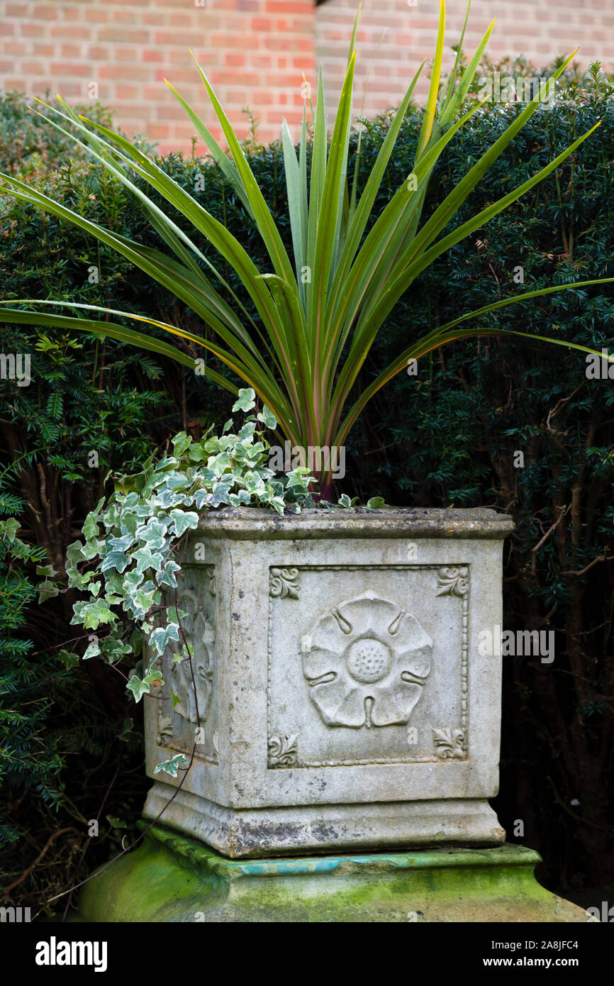 Planter gothic garden urn with a cordyline plant Stock Photo