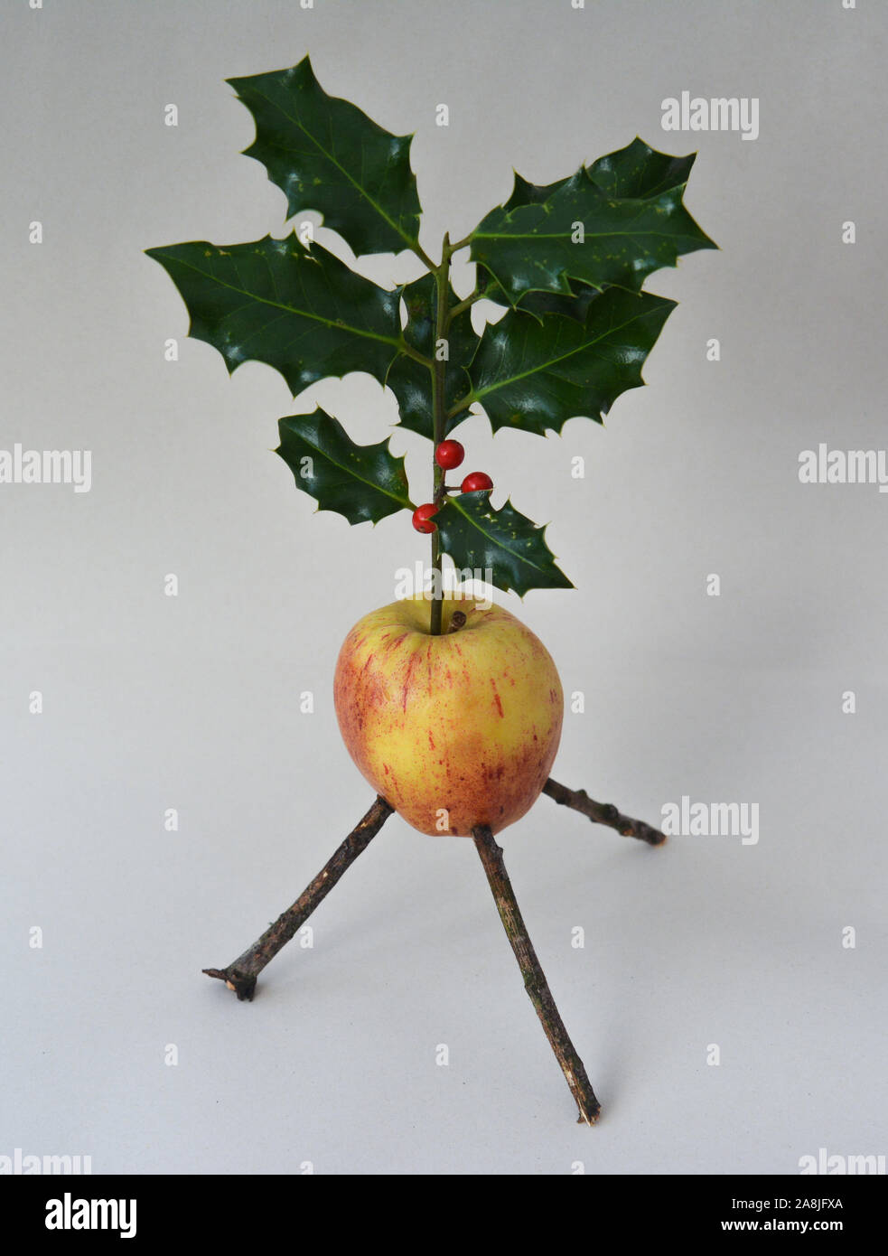 Calennig Apple Welsh New Year custom Stock Photo Alamy