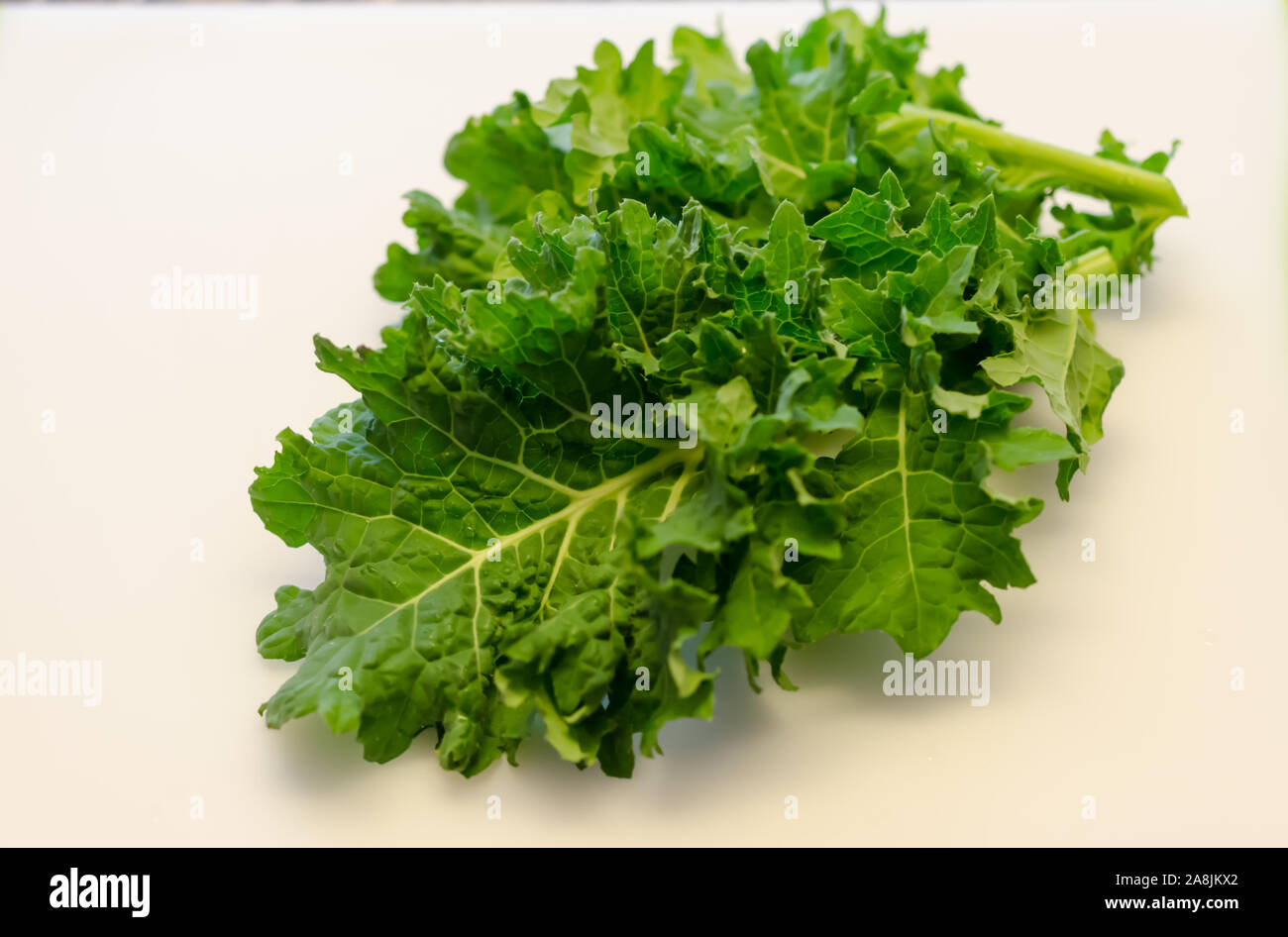 Fresh organic super food Kale leaf.  Homegrown in vegetable garden. Delicious nutritious healthy leaf vegetable of dark greens. Stock Photo