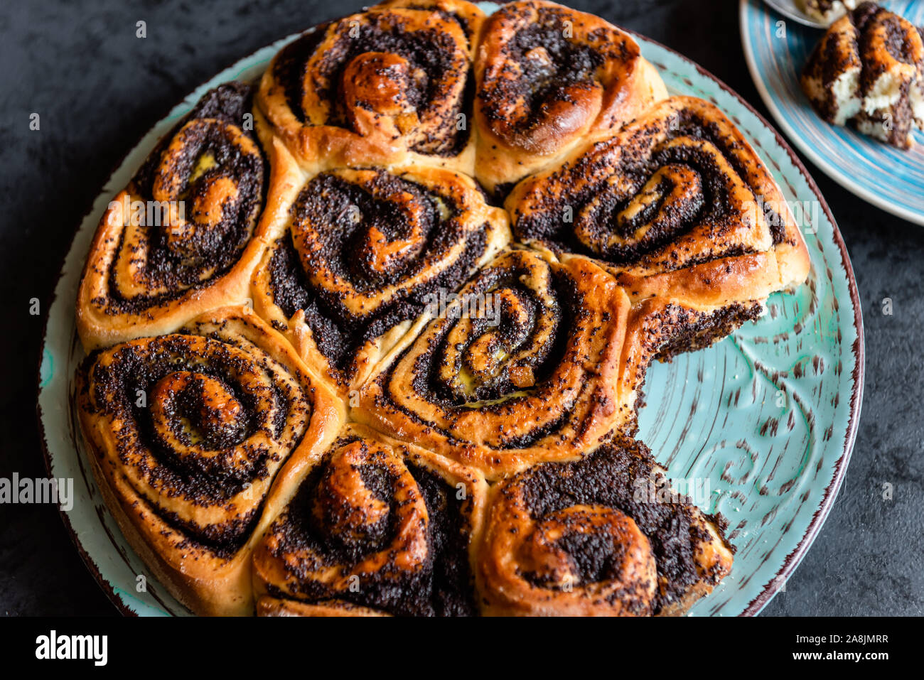 Poppy seed cake in the shape of a rosette. Traditional Polish cake for