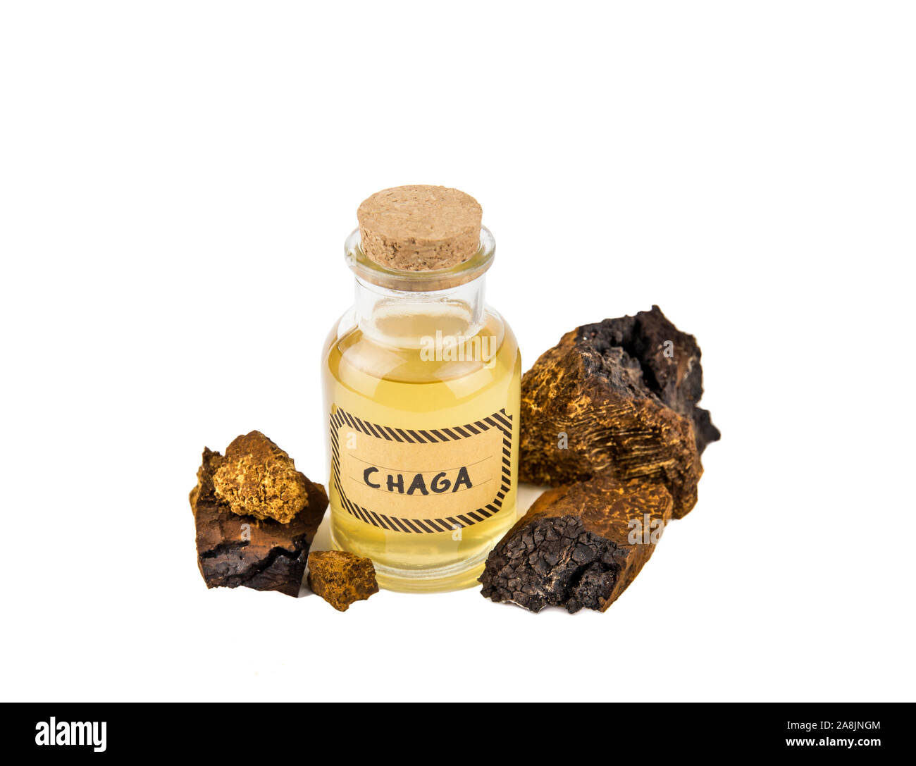 Pure wild natural chaga, Inonotus obliquus mushroom pieces and filtered mushroom mixture in bottle isolated on white background. Gathered from birch t Stock Photo