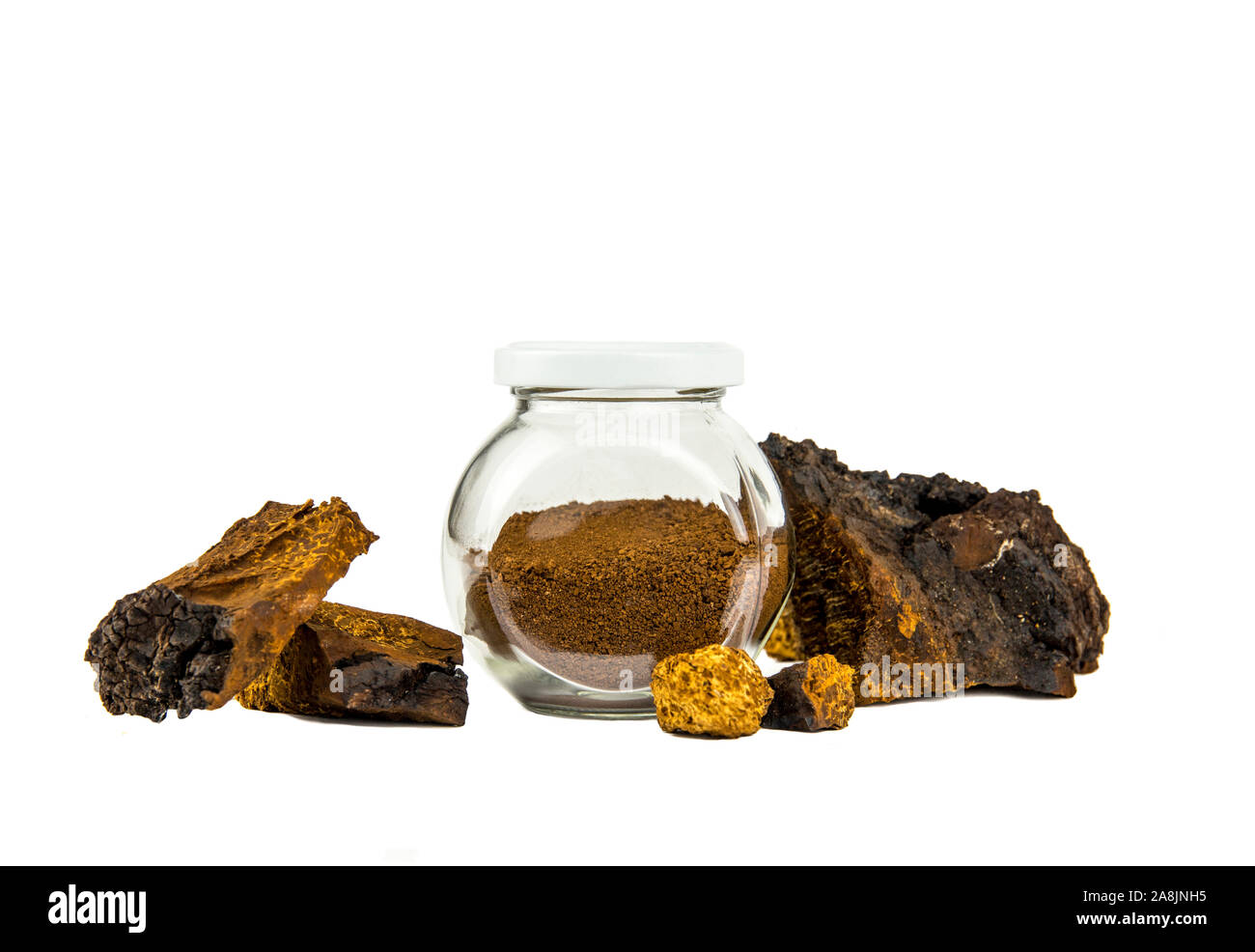 Healthy pure wild natural chaga mushroom, Inonotus obliquus powder in glass jar for making tea and coffee and pieces of mushroom isolated on white bac Stock Photo