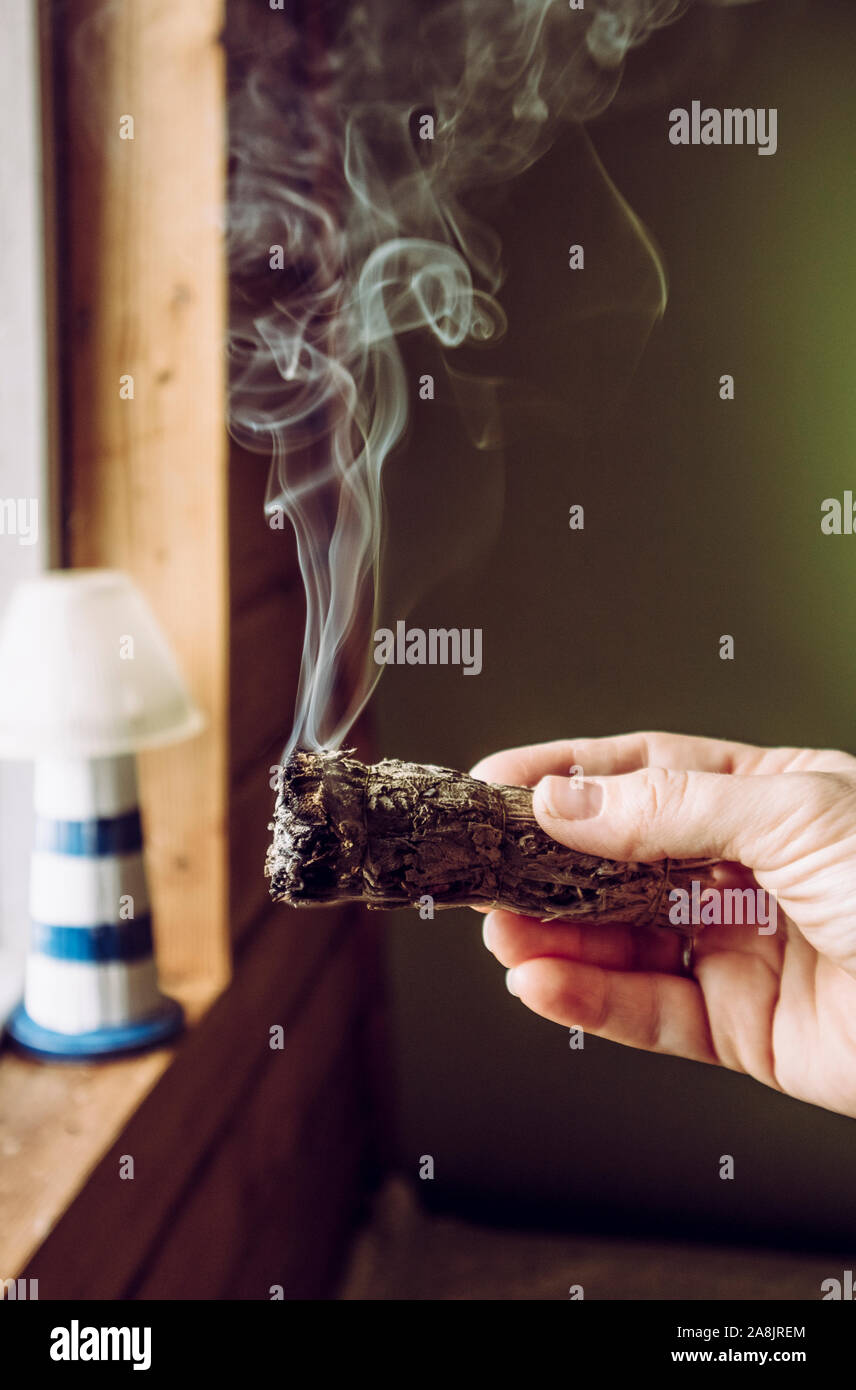 Woman hand holding herb bundle of dried sage smudge stick smoking. It
