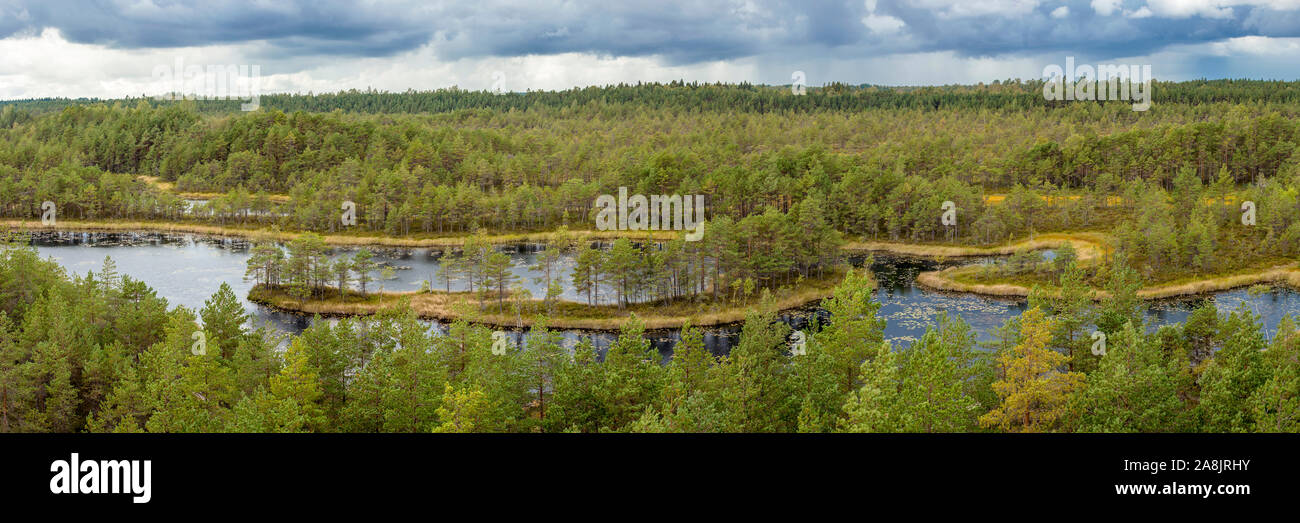 Areal panorama view of Mukri bog in Estonia. Beautiful pine tree forest around calm natural swamp lake, rain falling clouds in the distance. Stock Photo