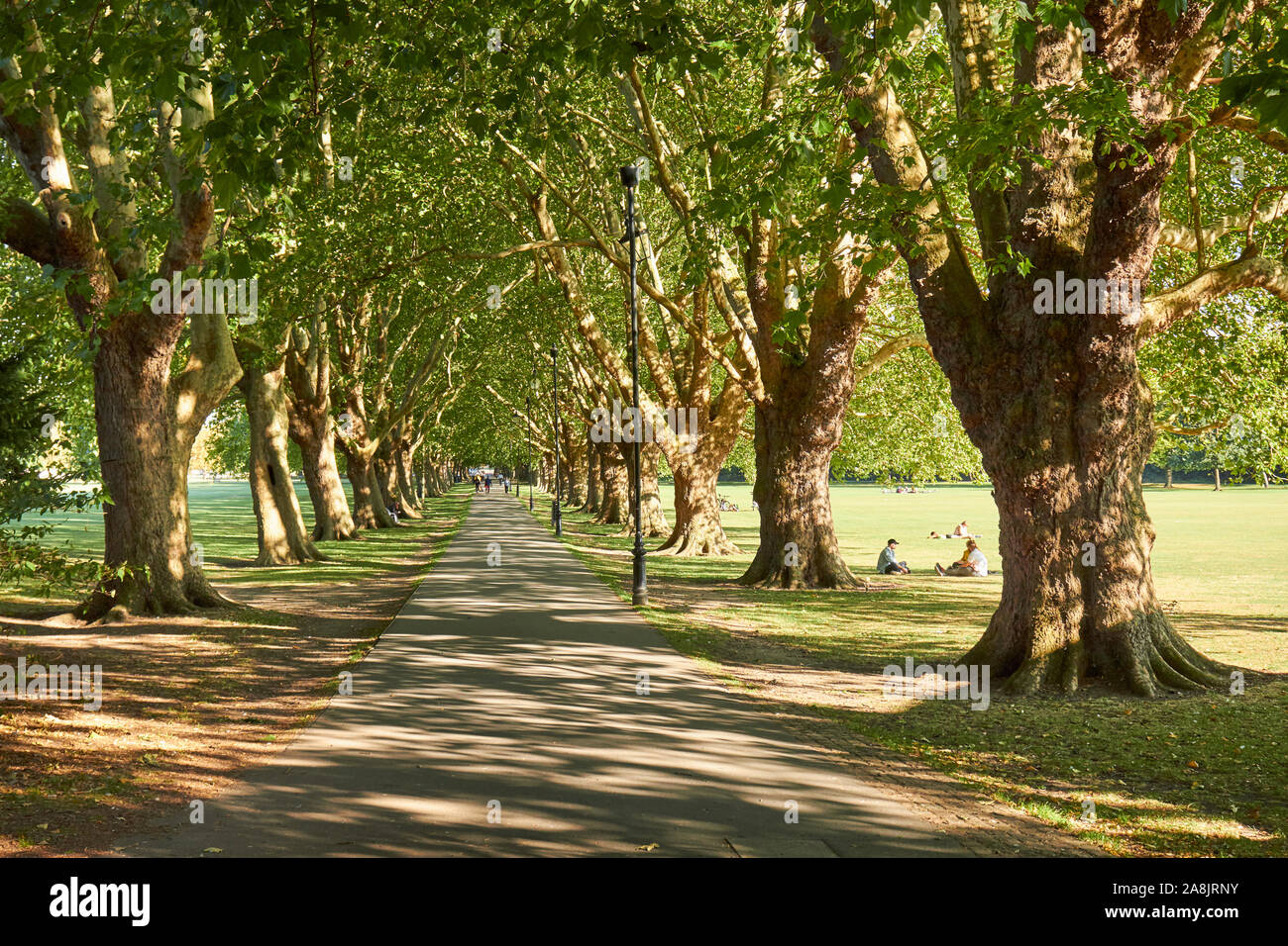 Jesus Green, an urban park in Cambridge, England Stock Photo Alamy