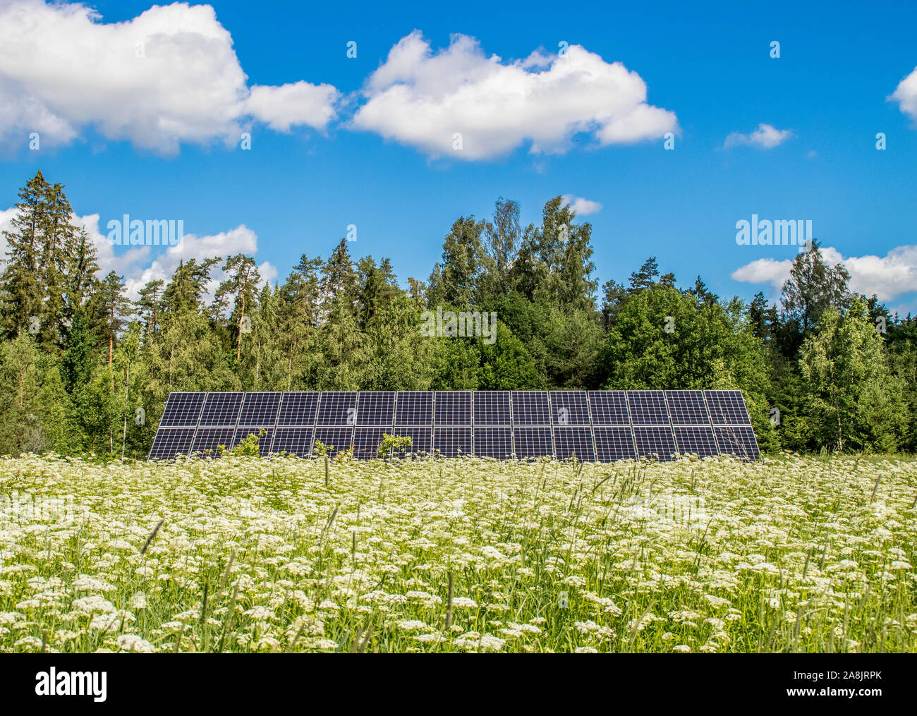 Small solar energy farm on beautiful natural meadow in nature. Renewable energy concept. Room for text. Stock Photo