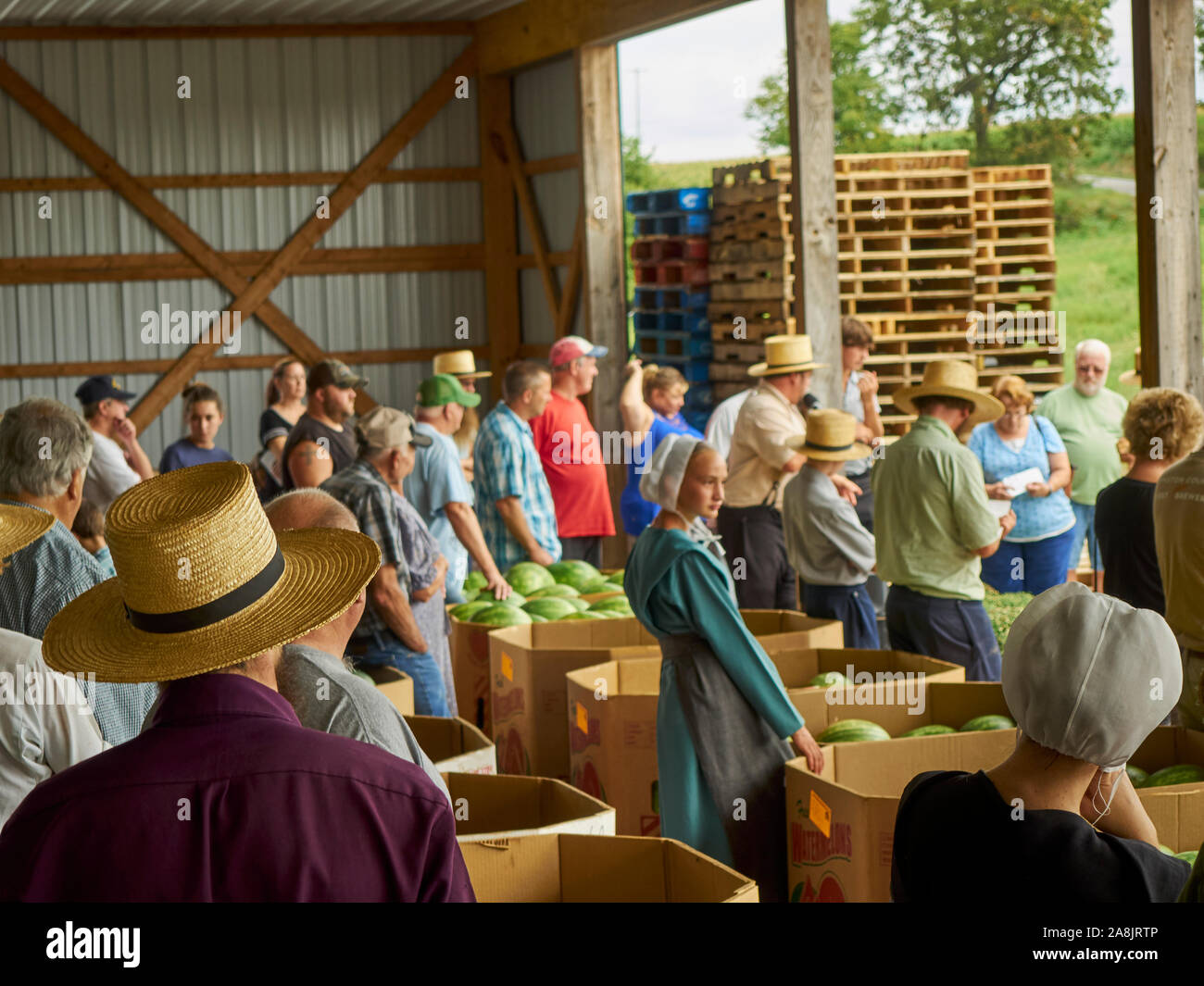Auction crowd High Resolution Stock Photography and Images Alamy