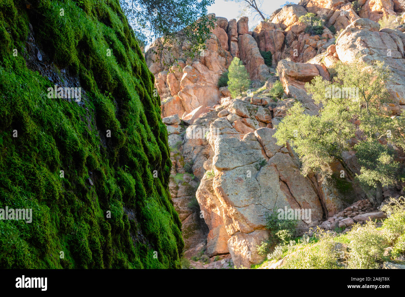 Mossy Boulder Alongside Pinnacles Rock Formations in California's central valley Stock Photo