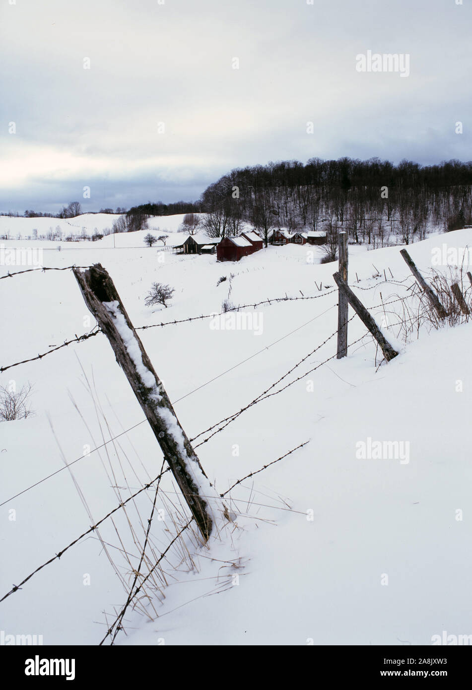 Jenne Farm in winter - Reading, Vermont Stock Photo