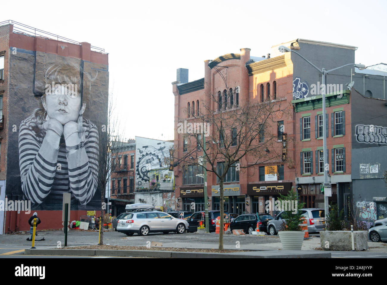 The Mona Lisa of Williamsburg mural by Colossal Media and Steven Paul