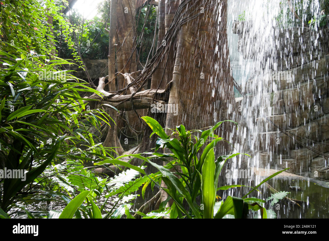 The Bronx Zoo, Wildlife Conservation Society, Bronx Park, Bronx, NYC ...