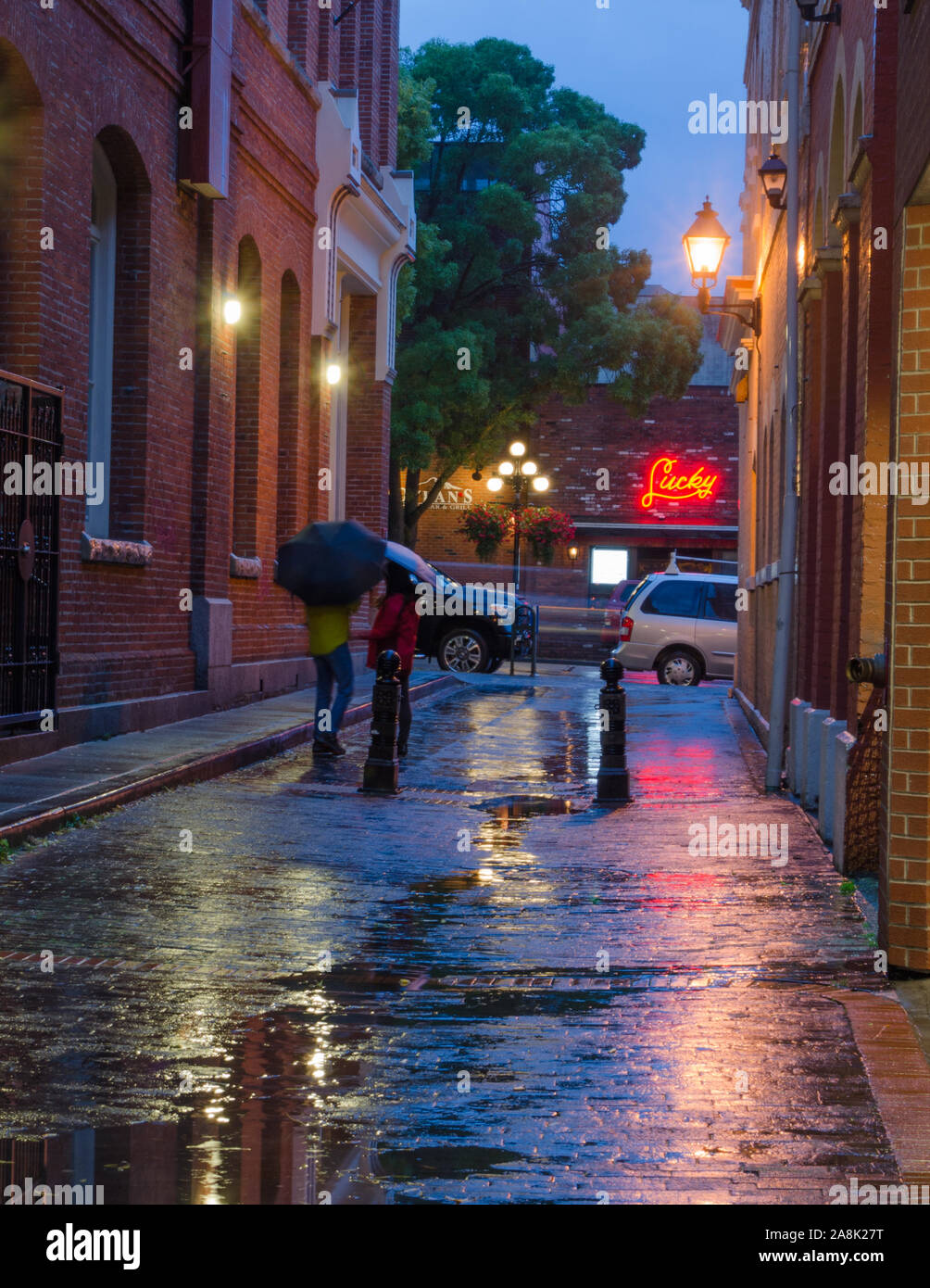 An intimate encounter in a rainy back alley in Victoria, BC, Canada. Stock Photo