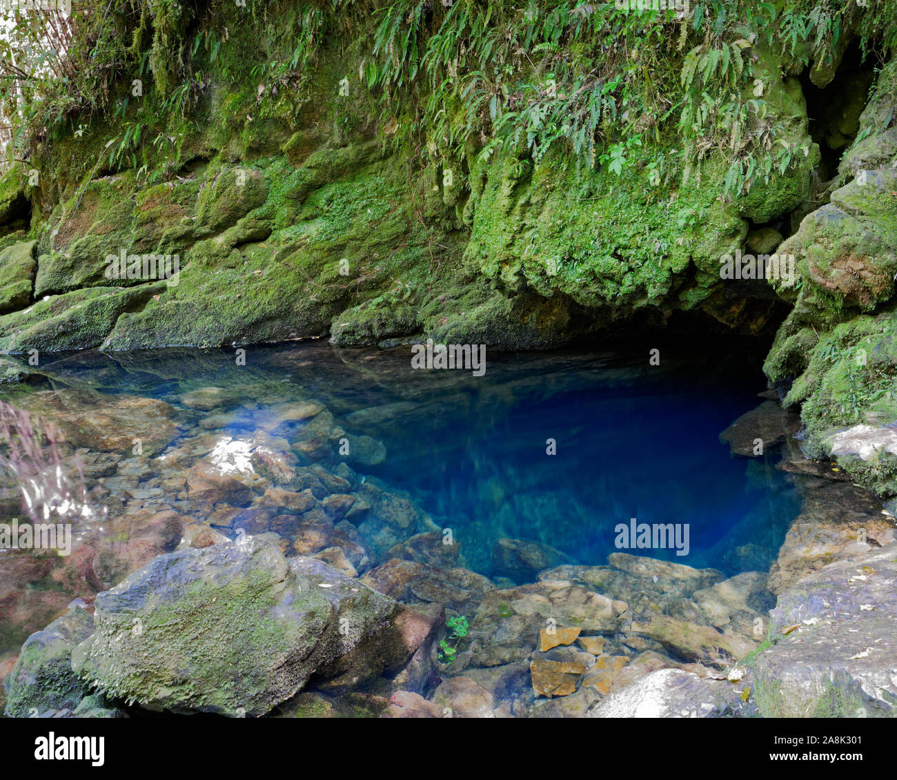The blue pool at the Resurgence where the Riuwaka River emerges from the Takaka Hill, New Zealand. Stock Photo