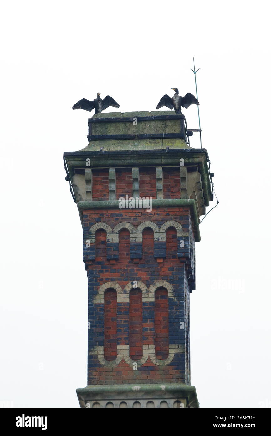A pair of cormorants (Phalacrocorax carbo) pearched on the top of a chimney in their well known pose to dry their feathers Stock Photo