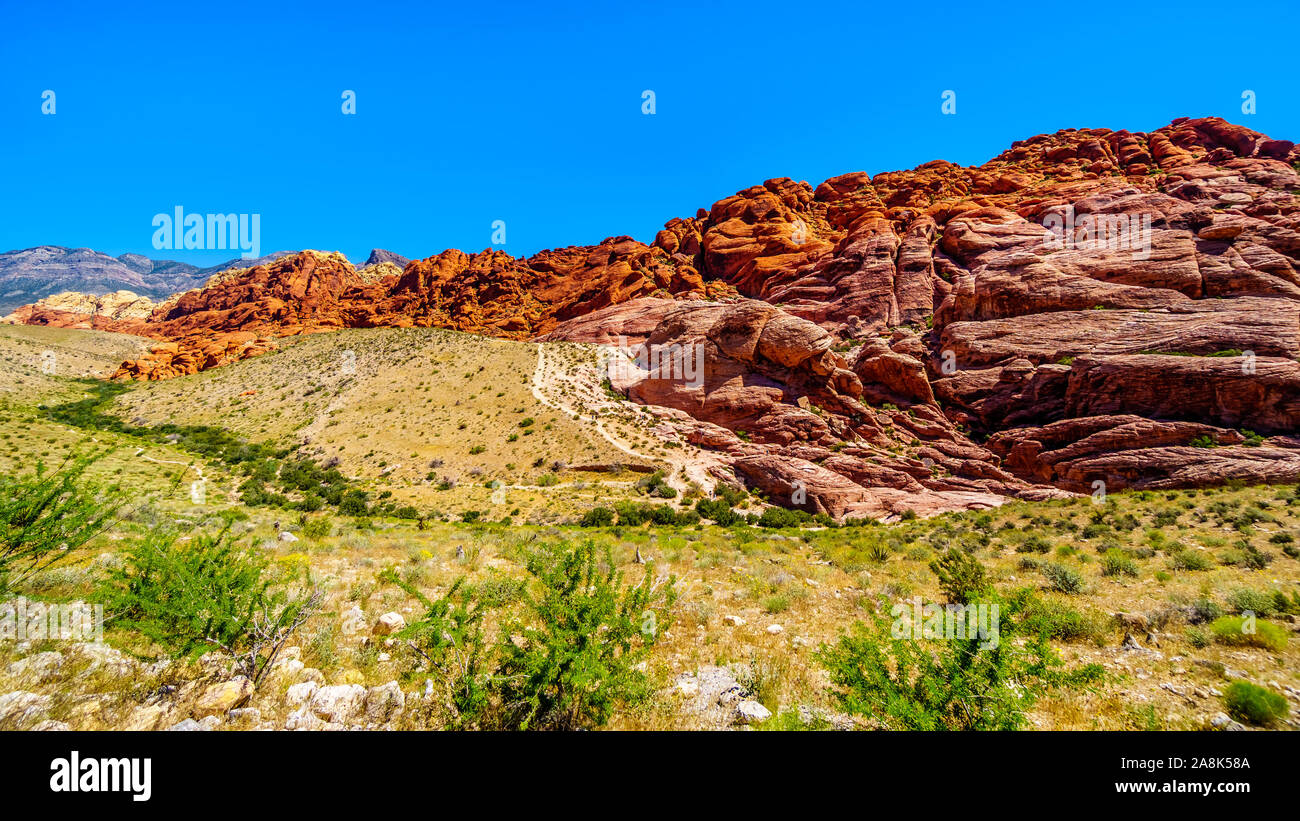 The Calico Hiking Trail along the Red Sandstone Cliffs in Red Rock Canyon National Conservation Area near Las Vegas, Nevada, United States Stock Photo