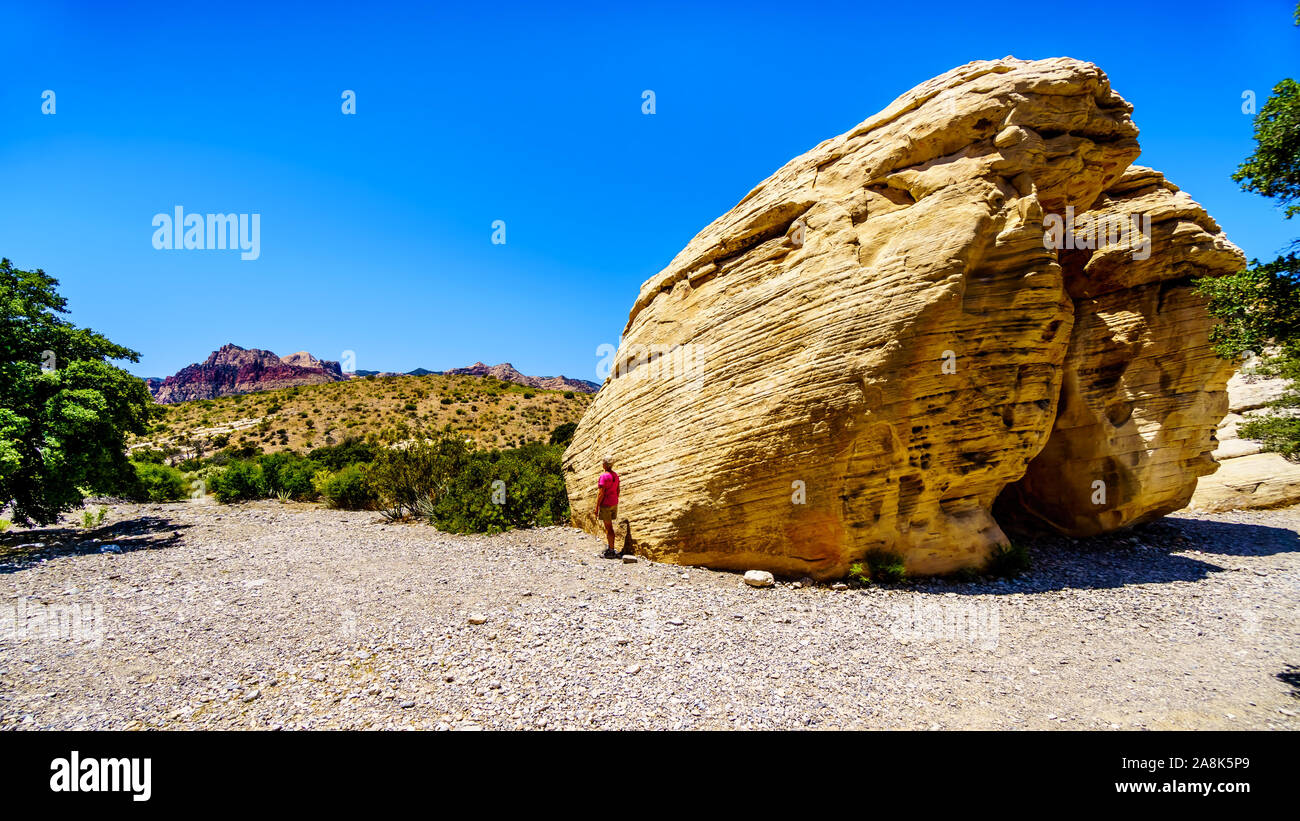 Senior woman standing by a giant yellow Sandstone Rock at the Sandstone Quarry Trail in Red Rock Canyon National Conservation Area near Las Vegas, NV Stock Photo