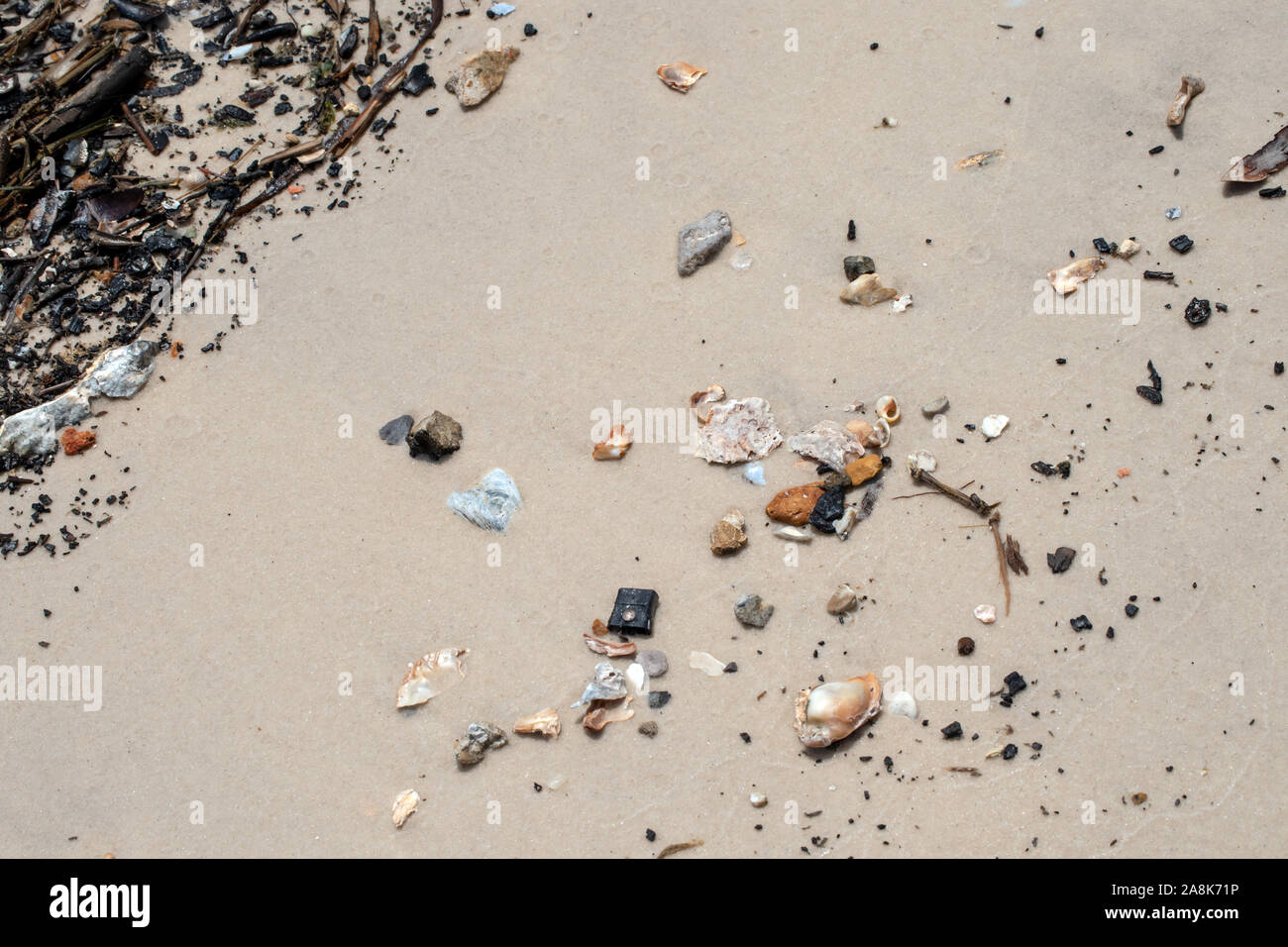 Debris and shells washed up from the ocean onto the sandy beach in Mississippi. Bokeh effect. Stock Photo