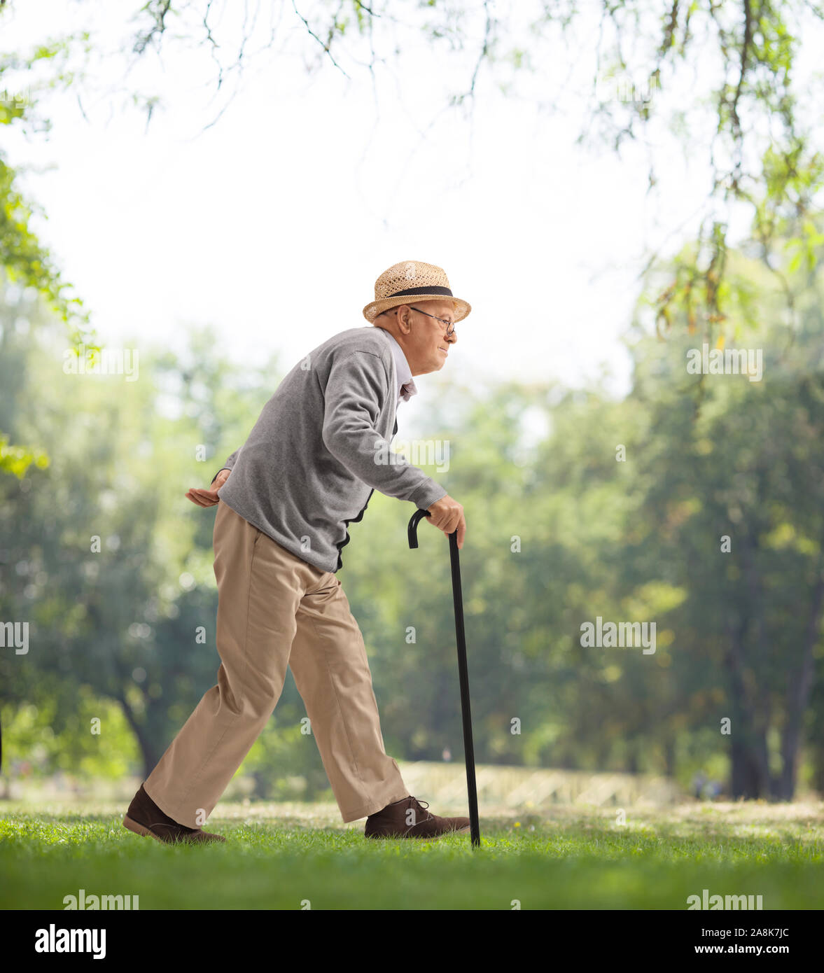 Full length profile shot of a senior man walking with a cane in a park ...