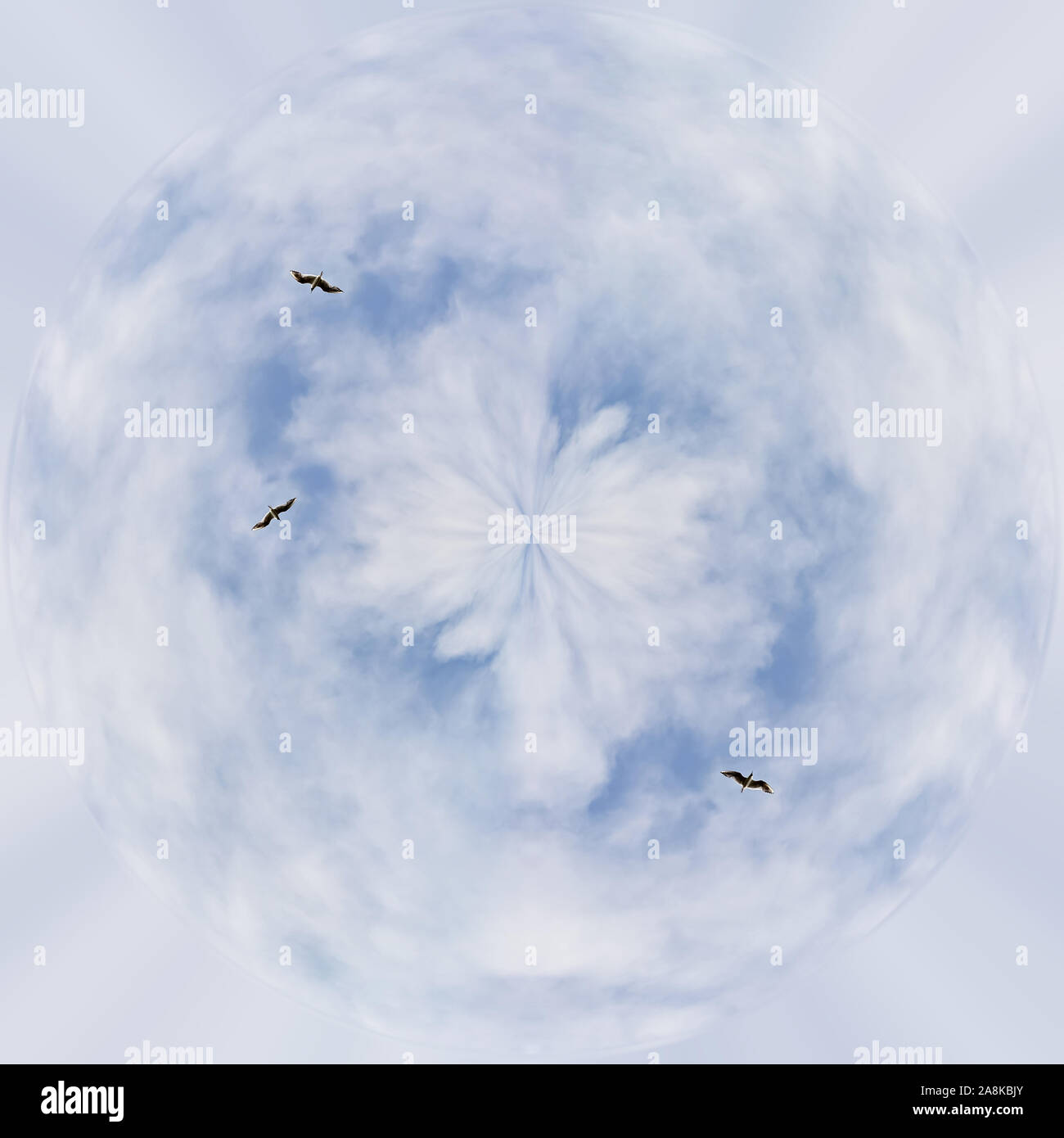 Blue planet in white clouds. Seagulls fly Stock Photo