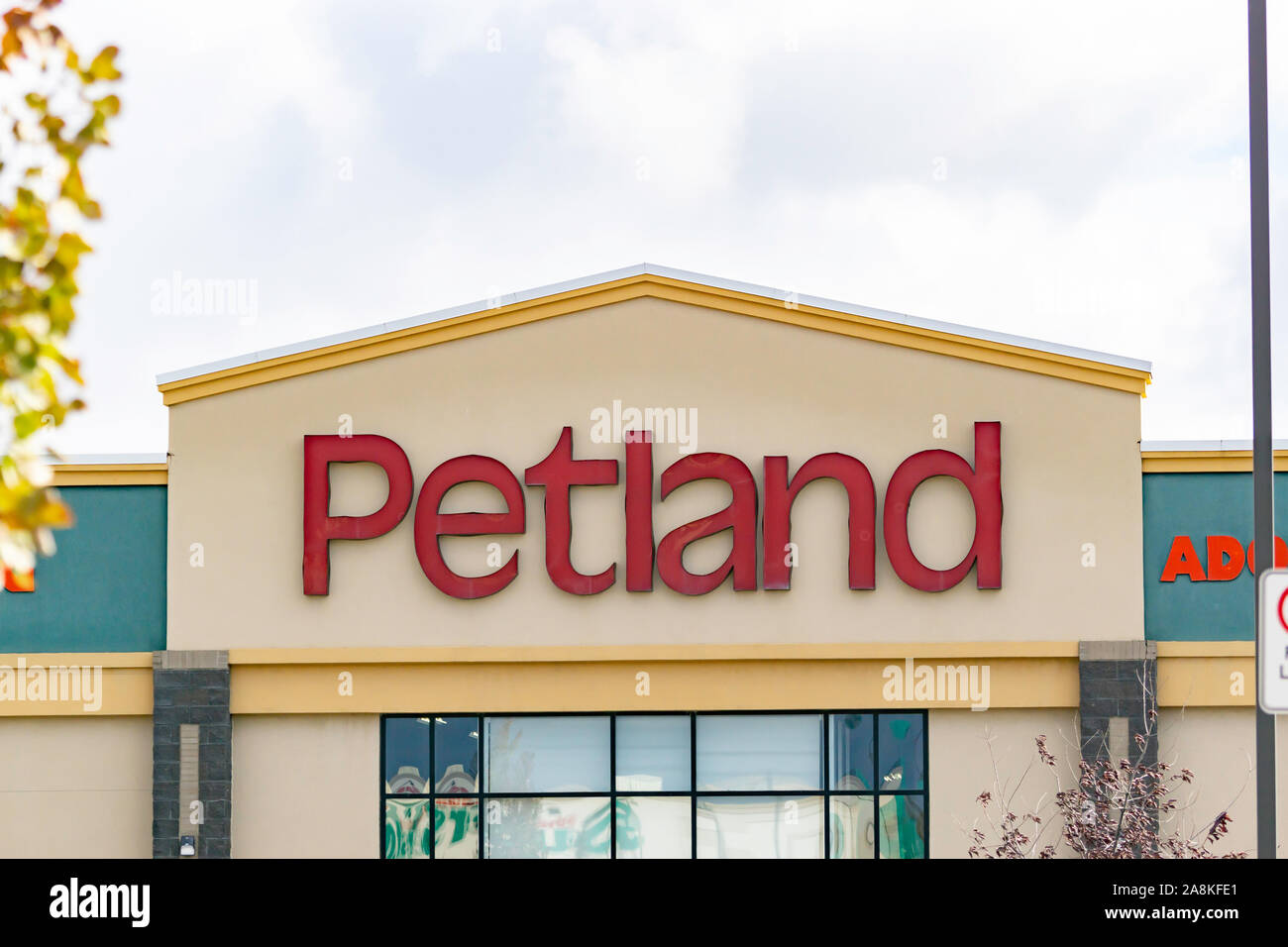 Petland calgary on sale