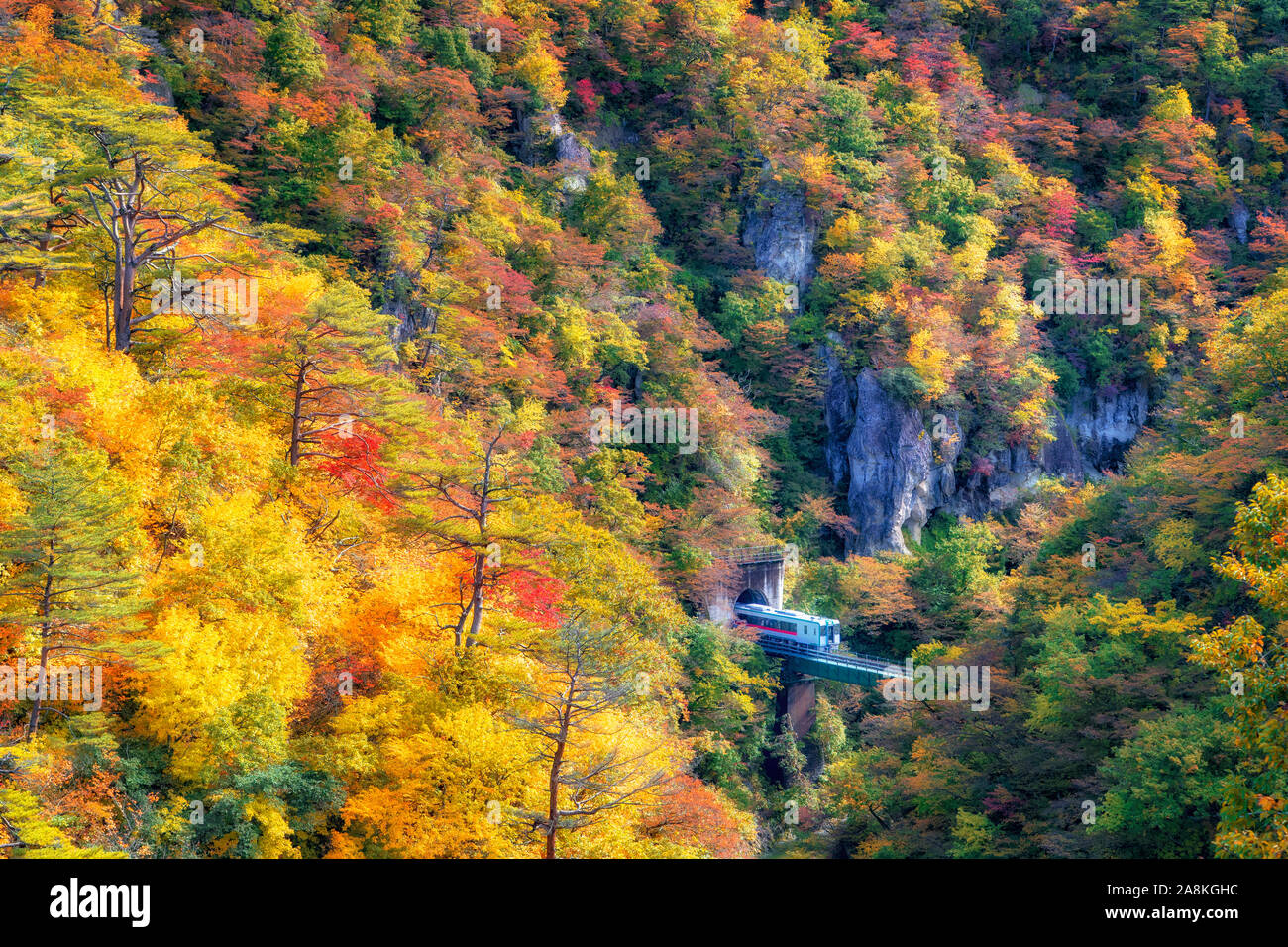Train Runs Thru The Tunnel Cross The Naruko Gorge Miyagi Tohoku Japan Stock Photo Alamy