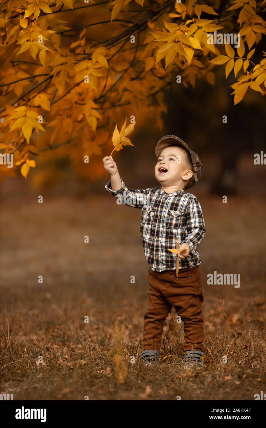 autumn portrait of happy little boy in checkered cap plays with yellow ...