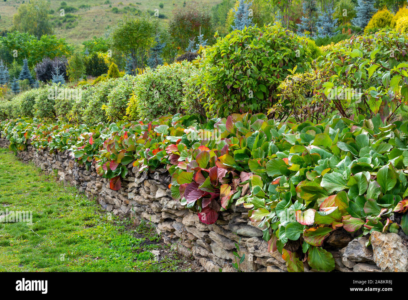 Decorative path in a beautiful garden in early autumn Stock Photo - Alamy