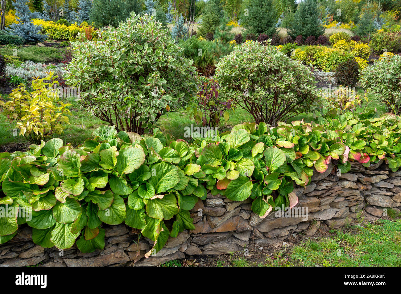 Decorative path in a beautiful garden in early autumn Stock Photo - Alamy