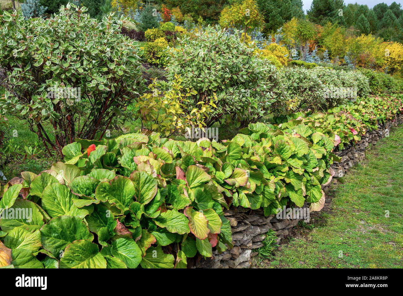 Decorative path in a beautiful garden in early autumn Stock Photo - Alamy
