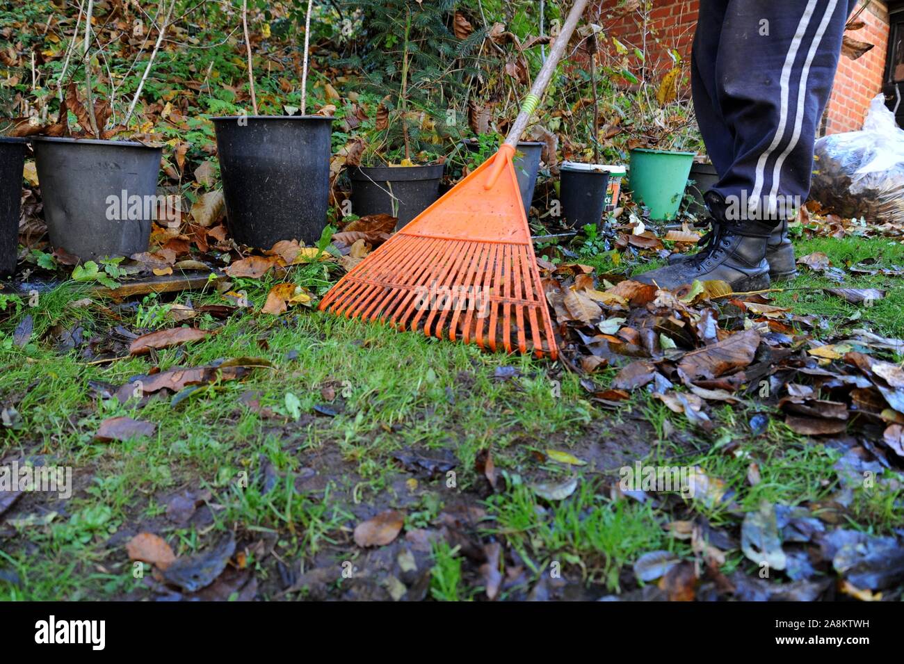 Man raking leaves hires stock photography and images Alamy