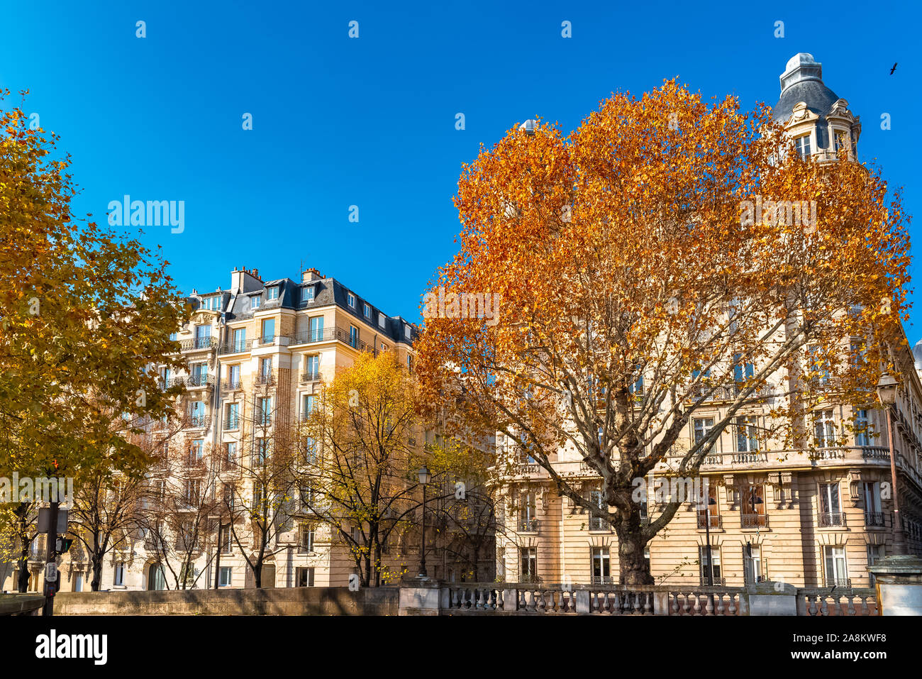 Paris, typical facade and windows, beautiful buildings in the Marais Stock Photo