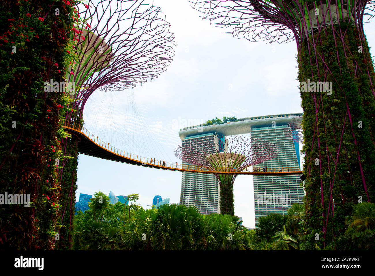OCBC Skyway in the Supertree Grove at the Garden by the Bay - Singapore Stock Photo