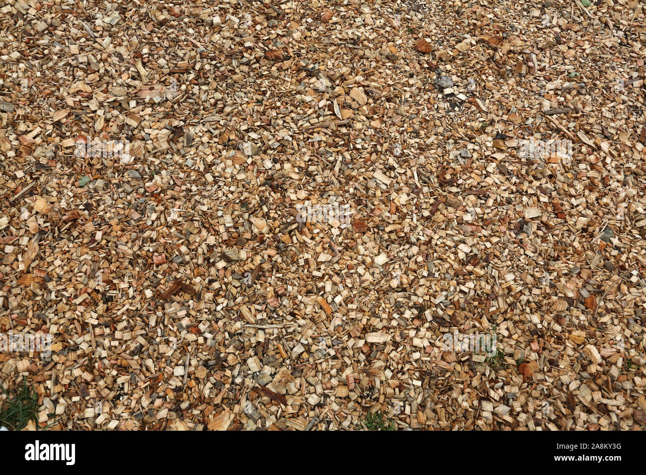 Sawdust floor hires stock photography and images Alamy