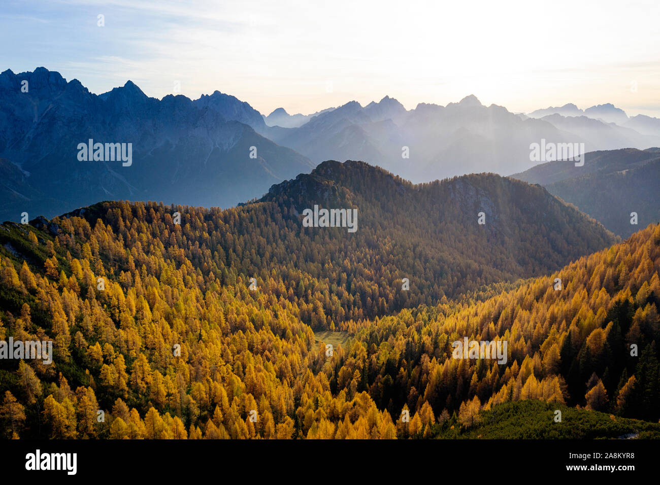 Aerial green trees on mountains hi-res stock photography and images - Alamy